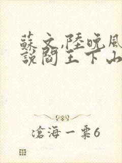 苏文,陆晚风小说阎王下山