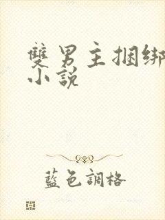 双男主捆绑调教小说