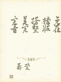 完美搭档免费观看完整版在线观看封面