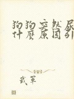 狗狗突然尿血是什么原因引起的