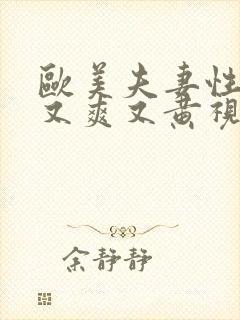 欧美夫妻性生活又爽又黄视频