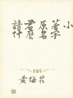 请君原著小说叫什么名字