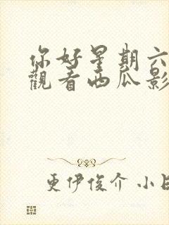 你好星期六免费观看西瓜影院