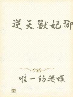 逆天兽妃御天下