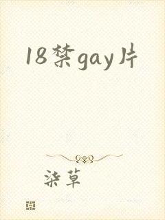 18禁gay片封面