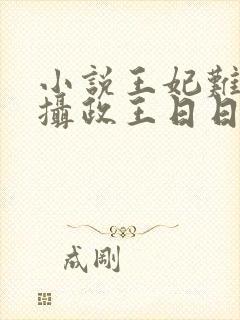 小说王妃难哄,摄政王日日不上朝全文阅读