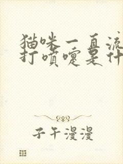 猫咪一直流鼻涕打喷嚏是什么原因