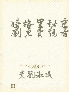 暗格里秘密电视剧免费观看