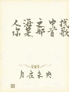 人海之中找到了你是哪首歌的歌词