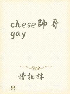 chese帅哥gay