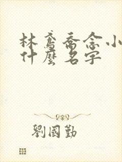 林鸢乔念小说叫什么名字