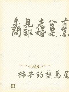 梦见老公有外遇闹离婚是怎么回事封面