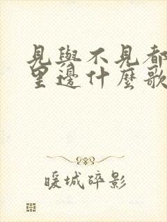 见与不见都在心里边什么歌