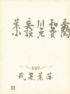 叶妄川和乔念的小说免费阅读无弹窗封面