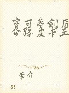 宝可梦剑盾四号公路皮卡丘