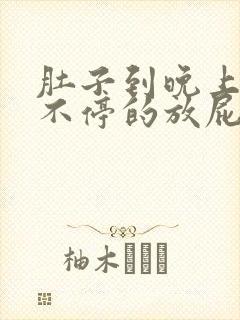 肚子到晚上胀气不停的放屁