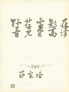 野花电影在线观看免费高清完整