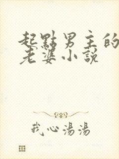 起点男主的笨蛋老婆小说