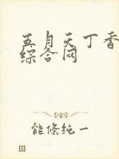 五月天丁香婷婷综合网