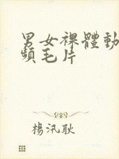 男女裸体动做视频毛片