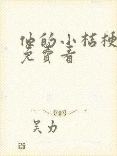 他的小桔梗短剧免费看