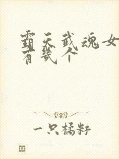 霸天武魂女主角有几个