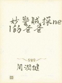 妙警贼探neal的爸爸封面