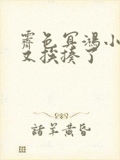 霁色冥鸿小王妃又挨揍了