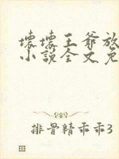 坏坏王爷放肆爱小说全文免费阅读