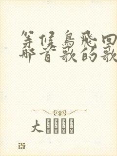 等候鸟飞回来是哪首歌的歌词