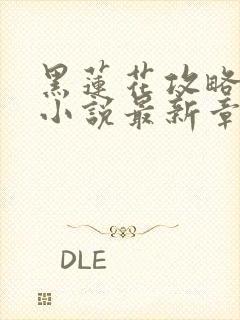 黑莲花攻略手册小说最新章节目录封面