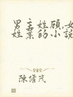 男主姓顾,女主姓叶的小说