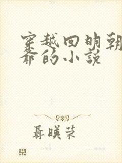 穿越回明朝当王爷的小说