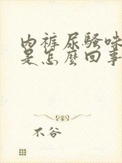 内裤尿骚味很重是怎么回事封面