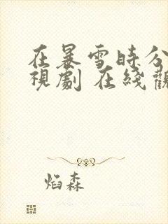 在暴雪时分 电视剧 在线观看