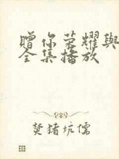 赠你荣耀与黑暗全集播放