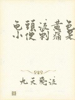 龟头流黄色液体小便刺痛是什么病