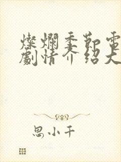 灿烂季节电视剧剧情介绍大结局