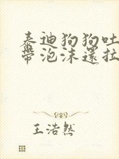 泰迪狗狗吐黄水带泡沫还拉稀