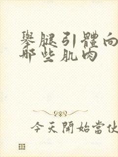 举腿引体向上用哪些肌肉