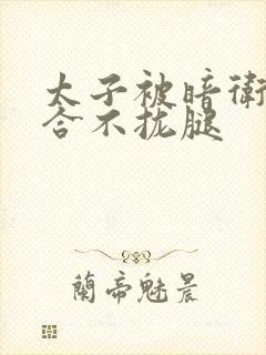 太子被暗卫c到合不拢腿