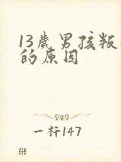 13岁男孩叛逆的原因