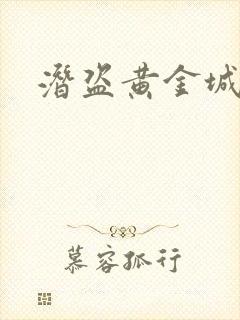 潜盗黄金城