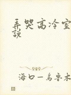 弄哭高冷室友小说封面
