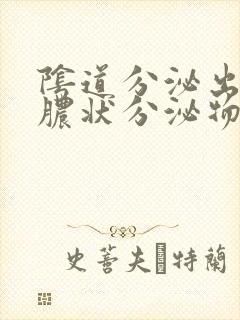 阴道分泌出流黄脓状分泌物