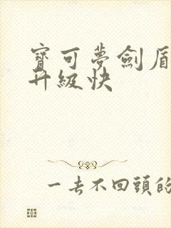 宝可梦剑盾哪里升级快封面