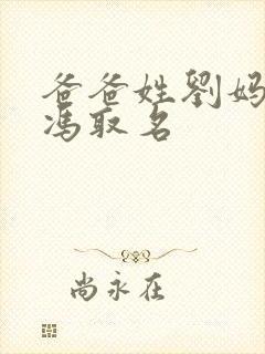 爸爸姓刘妈妈姓冯取名封面