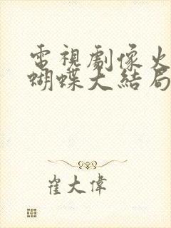 电视剧像火花像蝴蝶大结局