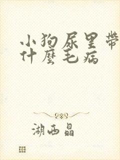 小狗尿里带血是什么毛病封面