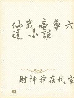 仙武帝尊六界三道 小说